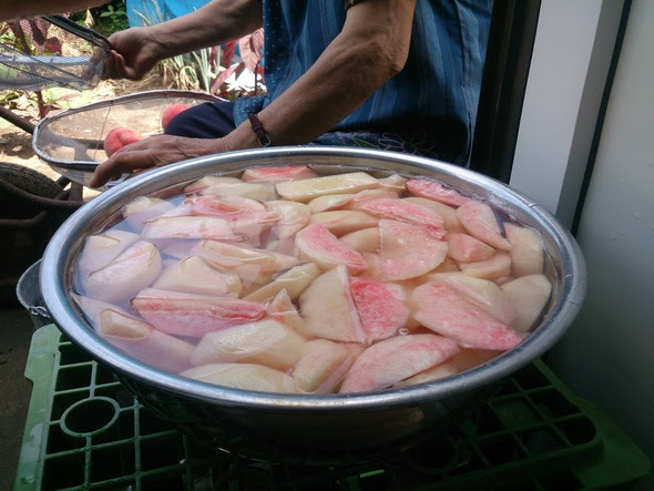 果樹園の畑 桃の保存食作り16