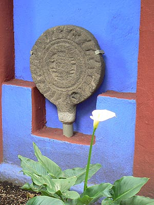 roue et arum.jpg