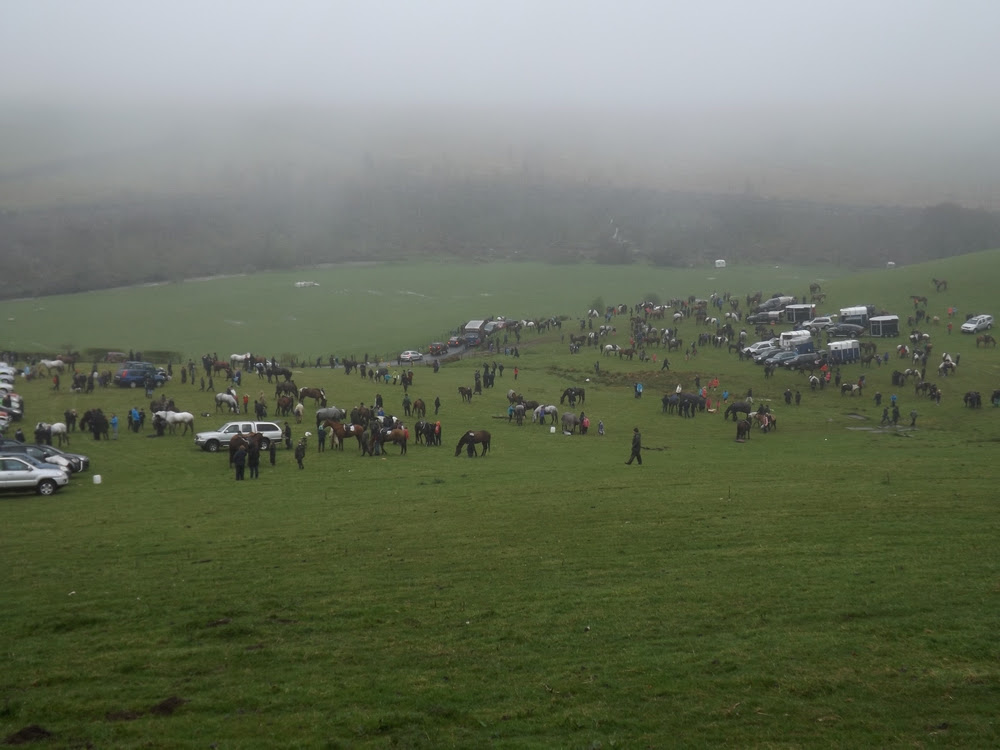 Roberton Field