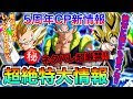 200以上 ドッカンバトル 秘宝集め 4章 656423