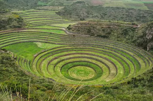 Moray