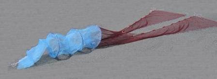 環境調査用機器 生物調査研究機器 研究調査用特殊機器 Hoga 環境調査用定置網