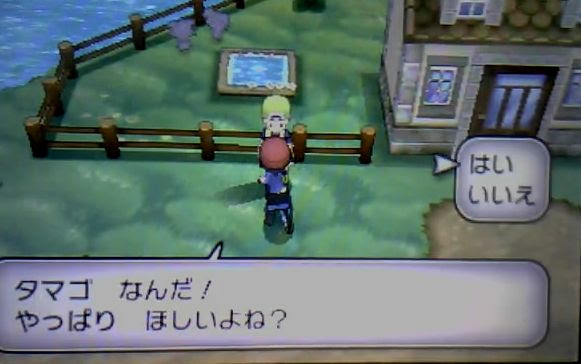 ポケモンxy厳選方法 環境 変更点まとめ 夢特性 技遺伝 ボール遺伝 ポケモン剣盾 ソードシールド 攻略 最新情報 Pokemon Times
