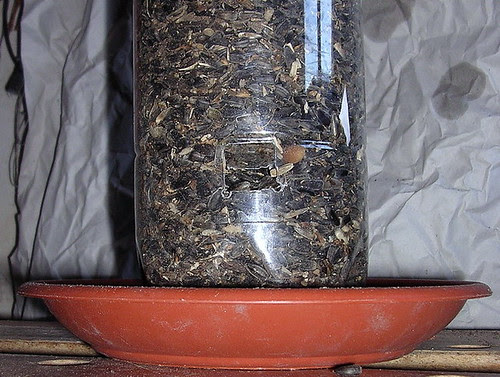 Bird feeder - how to do 4