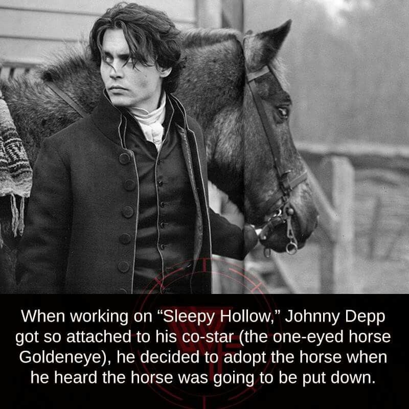 Crella Sleepy Hallow Lyrics Deep End Compatible with Cameo Silhouette Studio, Cricut and other cutting machines for any crafting projects.