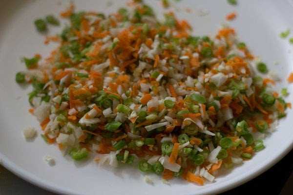 dumpling recipes vegetarianimage