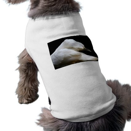 swan wings against dark background animal image dog shirt