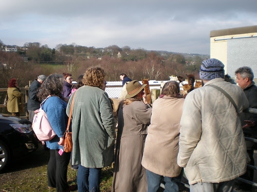 Meeting the Female Alpaca