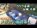√ダウンロード メダカ 屋外飼育 雨対策 264402
