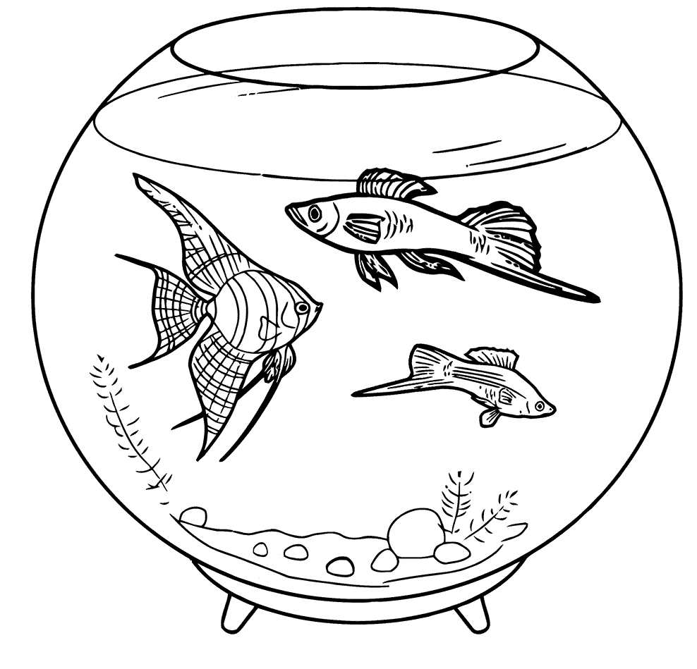 aquarium-fish-coloring-books