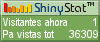 Audiencia web