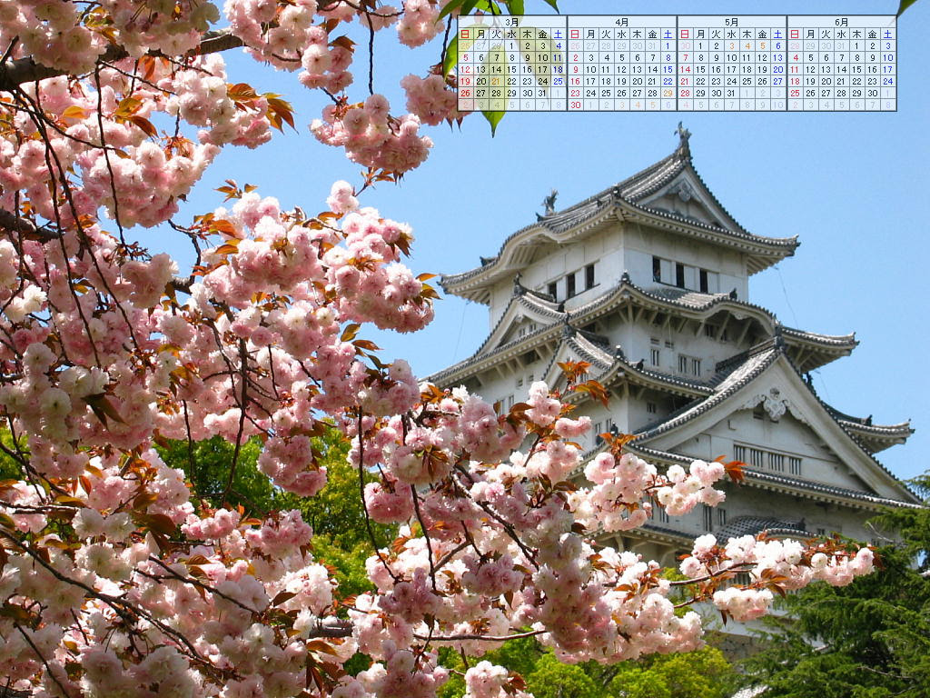 桜の壁紙写真カレンダー 姫路城の桜 兵庫と神戸の写真ブログ