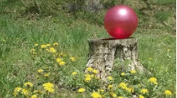いないいないばあっ ０歳児 ２歳児の番組を知ってる 孫を預かるなら要録画 ギャン泣きが止まる 老後すたいる