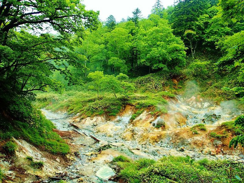 阿寒湖畔に響き渡る大地の鼓動 ボッケ 白湯山遊歩道を歩く 北海道 トラベルjp 旅行ガイド
