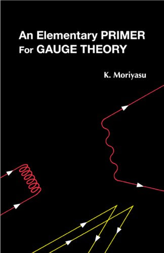 An Elementary Primer for Gauge Theory, by K Moriyasu