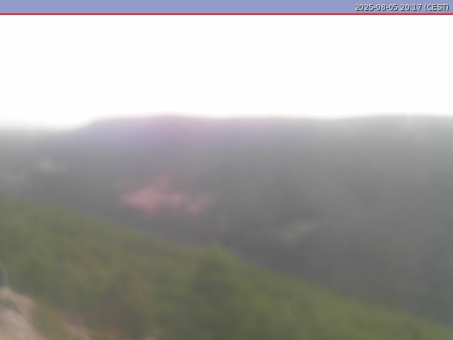 Webcam Collao Verde