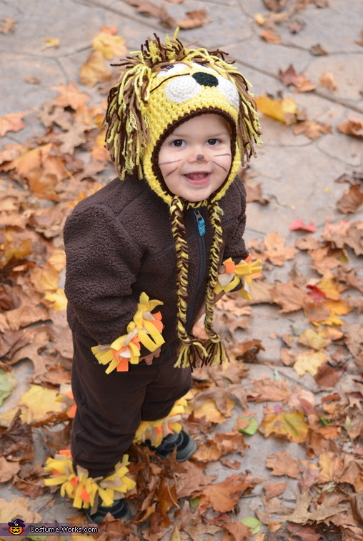 Homemade Baby Lion Costume Homemade Baby Lion Costume