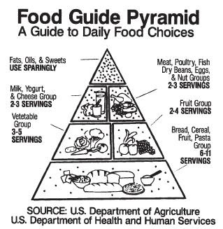 Nutrition - body, used, water, process, life, plants ...