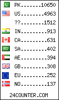 visitors by country counter