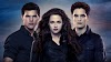 Twilight Saga Movie Wallpaper
