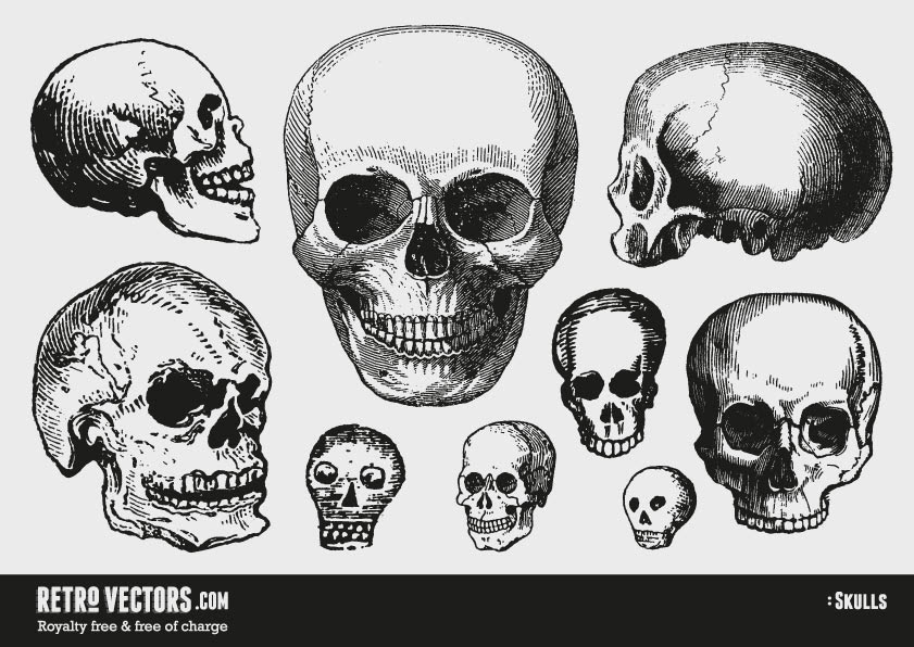 Download 14 Free Vectors For Commercial Use Images - Royalty Free ...