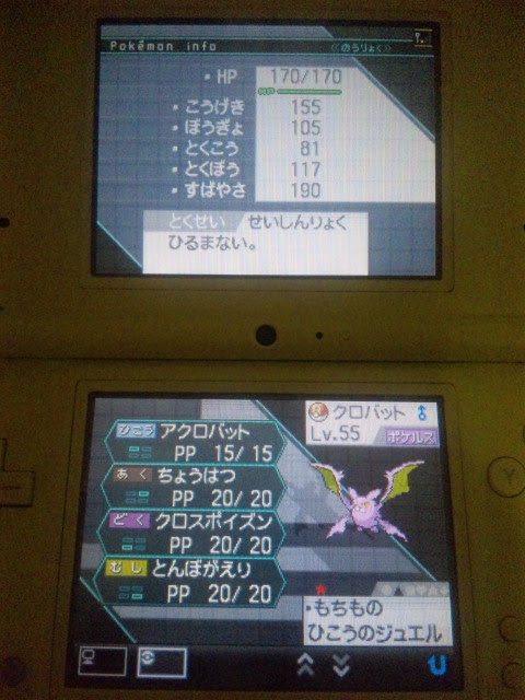 ポケモン育成記録 色違いクロバット育成