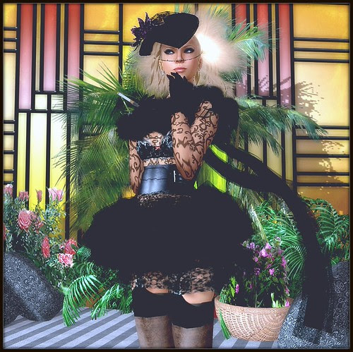 Homage to Dior and Galliano