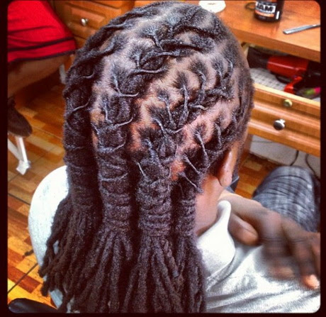 Dreadlocks braided hairstyles