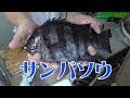 √ しまだい 食べ方 345340-��マダイ 食べ方 小さい