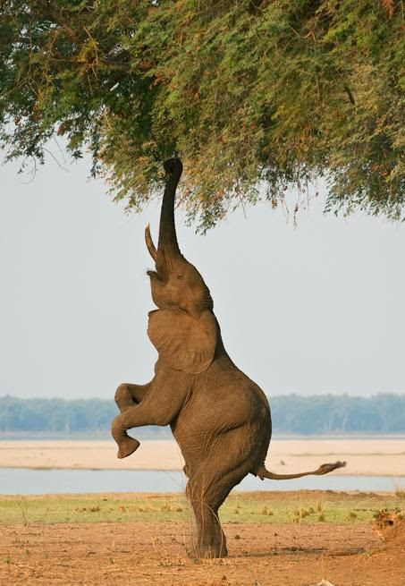 aim high