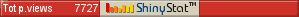 Free website counter