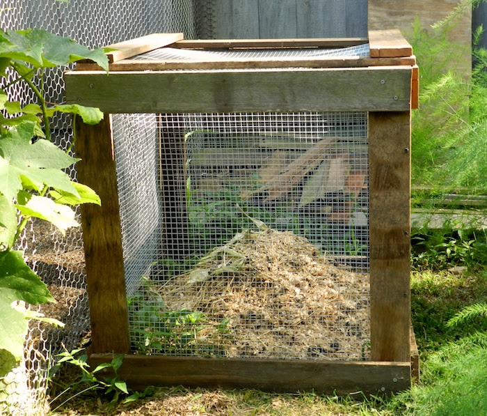 Perfect Compost Bin HenCam