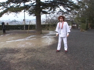 水曜どうでしょう ひまわり動画