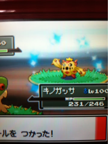 色違いいつ出るんだよ 色サボネア