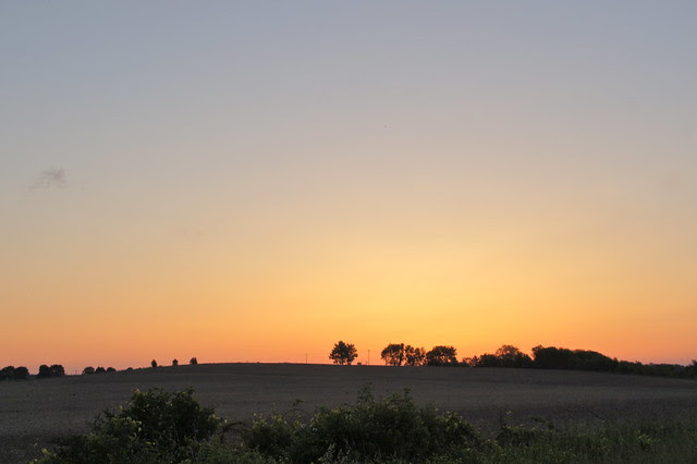 DSC07181