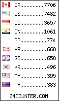 visitors by country counter