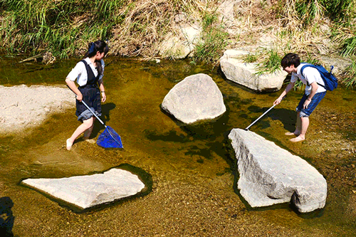 街の見方は人それぞれ 生き物めっちゃ好きjk 先生と街ブラしたら枚方はこう見える 枚方つーしん
