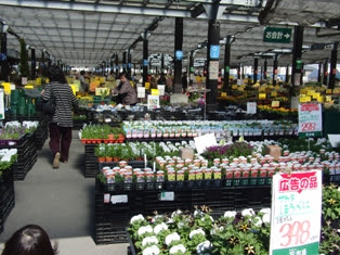 なばなの里の隣 花市場へ行きました タニサボ帳