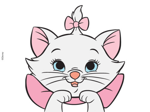 おしゃれキャットの画像 原寸画像検索
