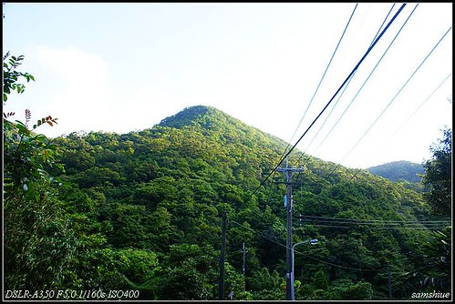 DSC02480