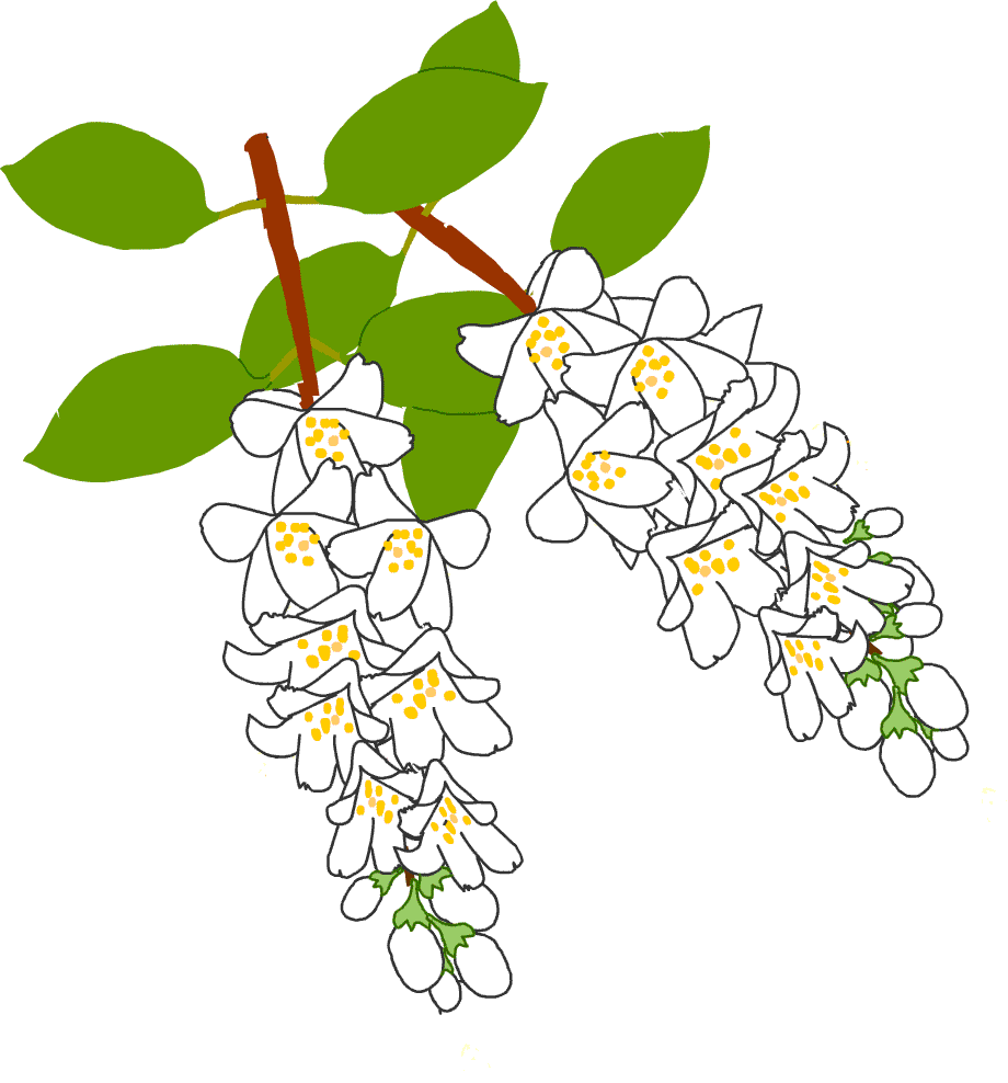 夏 夏景色 夏の花 イラスト 無料