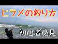 √画像をダウンロード ヒラメ の 釣れる 時期 788832-ヒラメ の 釣れる 時期