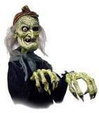 Ugly Witch