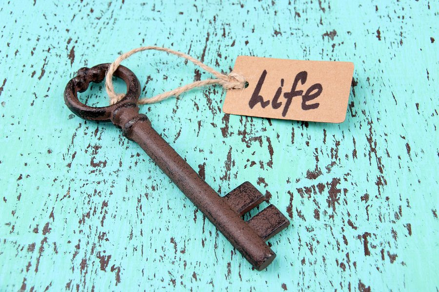 Blogger Research: Is it a Job or a Lifestyle? 