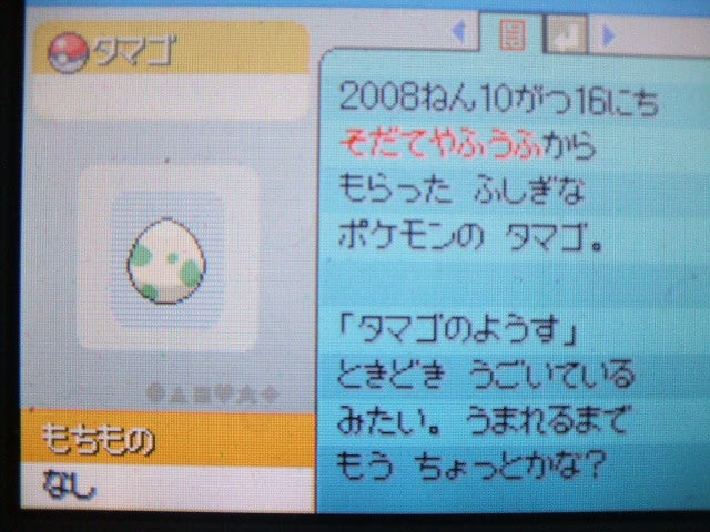 ゴンベ すねかじりブログ