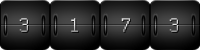 hit counters