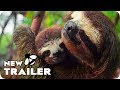 Earth: One Amazing Day 2017 Le Film Complet en Francais