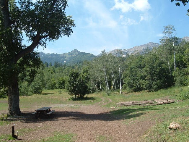 DSCF1078.JPG