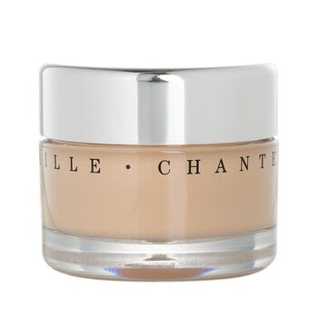 Chantecaille Future Skin Oil Free Gel Foundation - Porcelain 30g/1oz