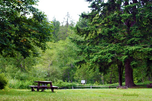 Lake Rosiger park